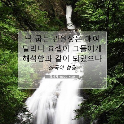 Picture 07 - 창세기 40:22 KOR - 떡 굽는 관원장은 매여 달리니 - Bible Verse Picture