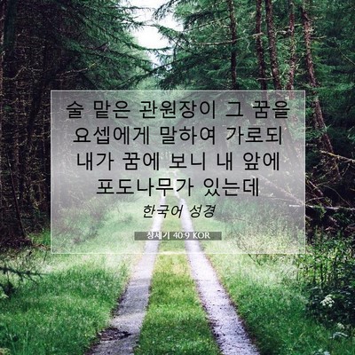 Picture 07 - 창세기 40:9 KOR - 술 맡은 관원장이 그 꿈을 요셉에게 - Bible Verse Picture