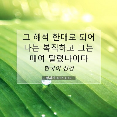 Picture 07 - 창세기 41:13 KOR - 그 해석 한대로 되어 나는 복직하고 - Bible Verse Picture