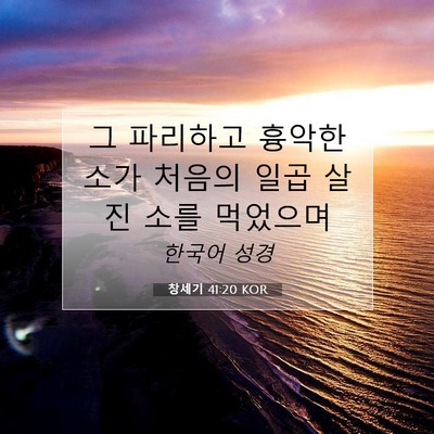 Picture 07 - 창세기 41:20 KOR - 그 파리하고 흉악한 소가 처음의 - Bible Verse Picture