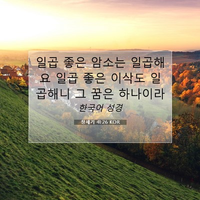 Picture 07 - 창세기 41:26 KOR - 일곱 좋은 암소는 일곱해요 일곱 - Bible Verse Picture