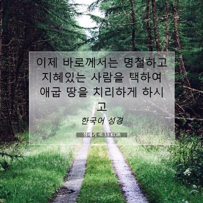 Picture 07 - 창세기 41:33 KOR - 이제 바로께서는 명철하고 지혜있는 - Bible Verse Picture