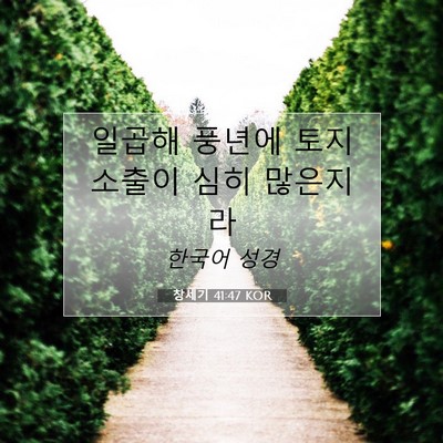 Picture 07 - 창세기 41:47 KOR - 일곱해 풍년에 토지 소출이 심히 - Bible Verse Picture