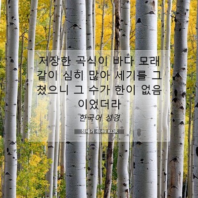 Picture 07 - 창세기 41:49 KOR - 저장한 곡식이 바다 모래같이 심히 - Bible Verse Picture