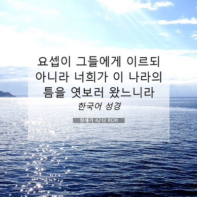 Picture 07 - 창세기 42:12 KOR - 요셉이 그들에게 이르되 아니라 - Bible Verse Picture