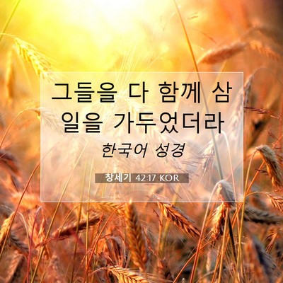 Picture 07 - 창세기 42:17 KOR - 그들을 다 함께 삼일을 - Bible Verse Picture