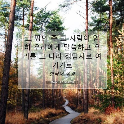 Picture 07 - 창세기 42:30 KOR - 그 땅의 주 그 사람이 엄히 우리에게 - Bible Verse Picture