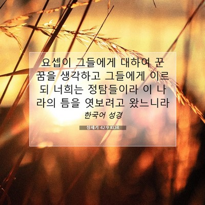 Picture 07 - 창세기 42:9 KOR - 요셉이 그들에게 대하여 꾼 꿈을 - Bible Verse Picture