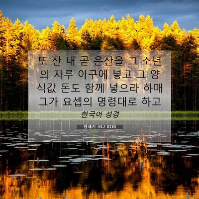 Picture 07 - 창세기 44:2 KOR - 또 잔 내 곧 은잔을 그 소년의 자루 - Bible Verse Picture