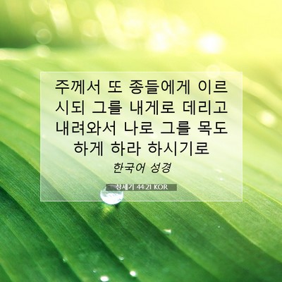 Picture 07 - 창세기 44:21 KOR - 주께서 또 종들에게 이르시되 그를 - Bible Verse Picture