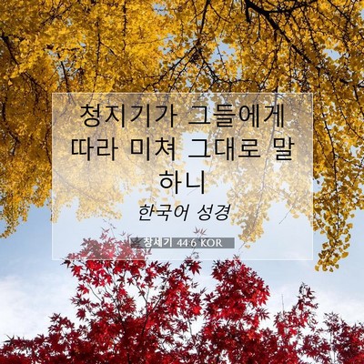 Picture 07 - 창세기 44:6 KOR - 청지기가 그들에게 따라 미쳐 그대로 - Bible Verse Picture