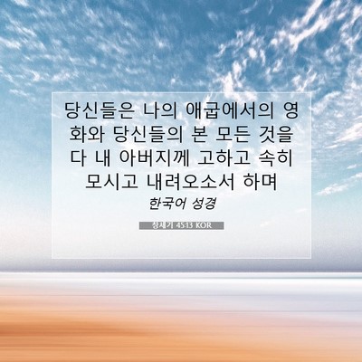Picture 07 - 창세기 45:13 KOR - 당신들은 나의 애굽에서의 영화와 - Bible Verse Picture