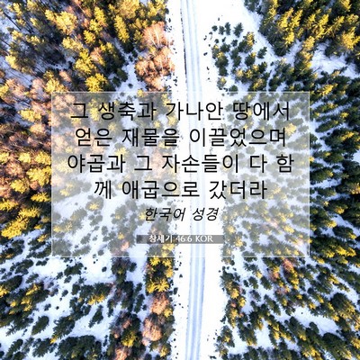 Picture 07 - 창세기 46:6 KOR - 그 생축과 가나안 땅에서 얻은 - Bible Verse Picture