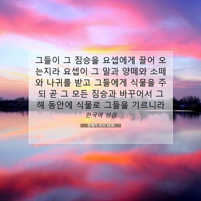 Picture 07 - 창세기 47:17 KOR - 그들이 그 짐승을 요셉에게 끌어 - Bible Verse Picture