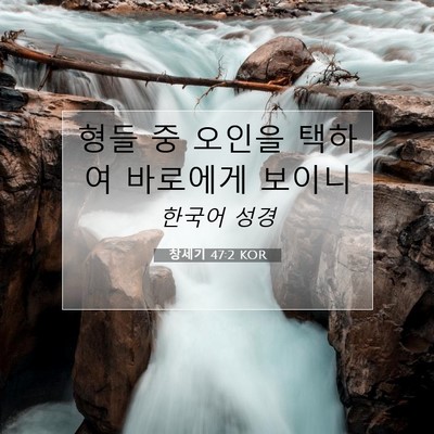Picture 07 - 창세기 47:2 KOR - 형들 중 오인을 택하여 바로에게 - Bible Verse Picture