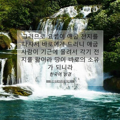 Picture 07 - 창세기 47:20 KOR - 그러므로 요셉이 애굽 전지를 다사서 - Bible Verse Picture