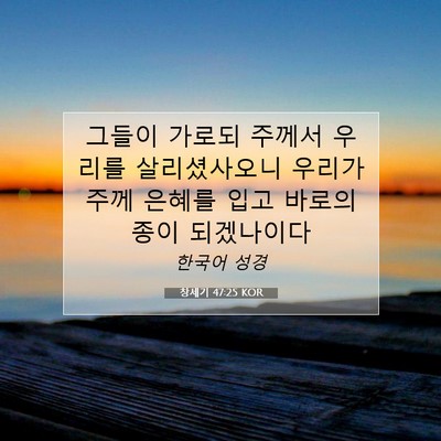 Picture 07 - 창세기 47:25 KOR - 그들이 가로되 주께서 우리를 - Bible Verse Picture