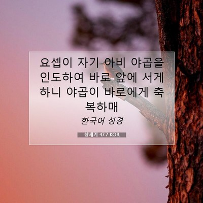 Picture 07 - 창세기 47:7 KOR - 요셉이 자기 아비 야곱을 인도하여 - Bible Verse Picture