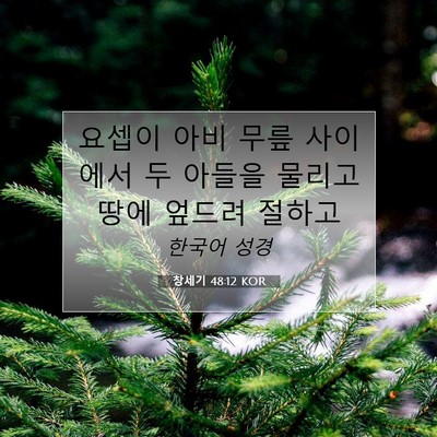 Picture 07 - 창세기 48:12 KOR - 요셉이 아비 무릎 사이에서 두 - Bible Verse Picture