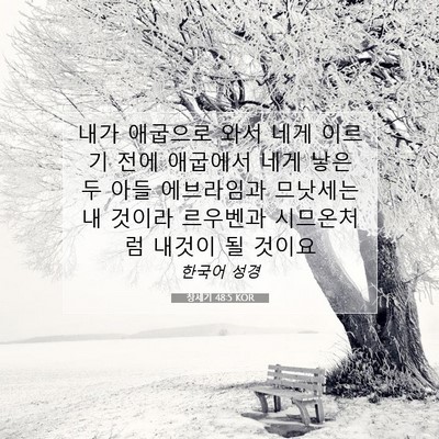 Picture 07 - 창세기 48:5 KOR - 내가 애굽으로 와서 네게 이르기 - Bible Verse Picture