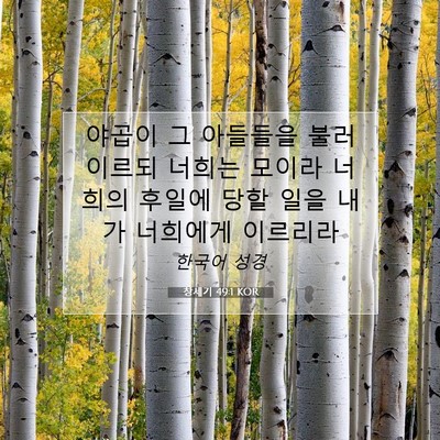 Picture 07 - 창세기 49:1 KOR - 야곱이 그 아들들을 불러 이르되 - Bible Verse Picture