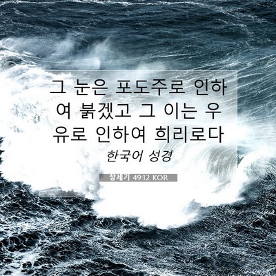 Picture 07 - 창세기 49:12 KOR - 그 눈은 포도주로 인하여 붉겠고 그 - Bible Verse Picture