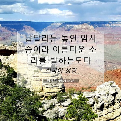 Picture 07 - 창세기 49:21 KOR - 납달리는 놓인 암사슴이라 아름다운 - Bible Verse Picture
