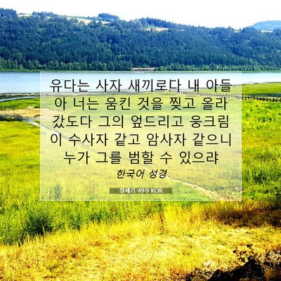 Picture 07 - 창세기 49:9 KOR - 유다는 사자 새끼로다 내 아들아 - Bible Verse Picture