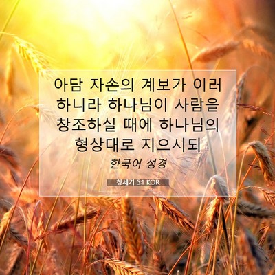 Picture 07 - 창세기 5:1 KOR - 아담 자손의 계보가 이러하니라 - Bible Verse Picture