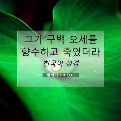 Picture 07 - 창세기 5:11 KOR - 그가 구백 오세를 향수하고 - Bible Verse Picture