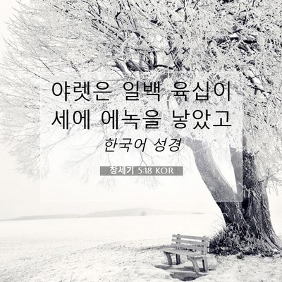 Picture 07 - 창세기 5:18 KOR - 야렛은 일백 육십이세에 에녹을 - Bible Verse Picture