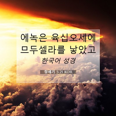 Picture 07 - 창세기 5:21 KOR - 에녹은 육십오세에 므두셀라를 - Bible Verse Picture