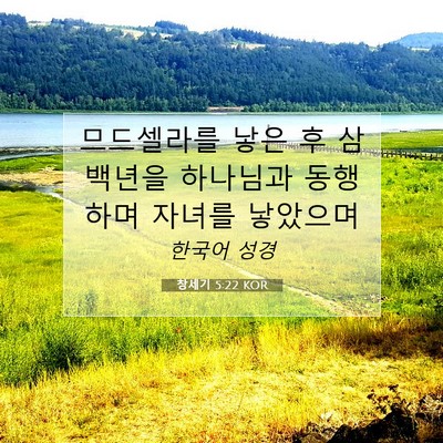 Picture 07 - 창세기 5:22 KOR - 므드셀라를 낳은 후 삼백년을 - Bible Verse Picture