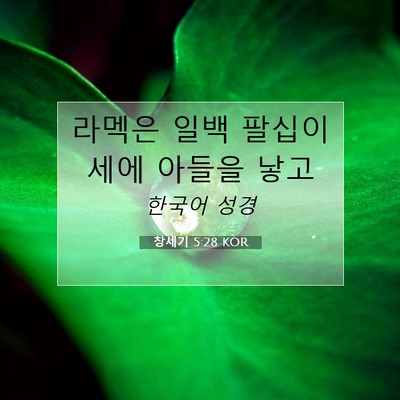 Picture 07 - 창세기 5:28 KOR - 라멕은 일백 팔십이세에 아들을 - Bible Verse Picture