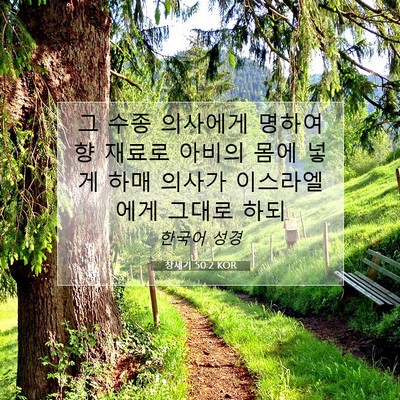 Picture 07 - 창세기 50:2 KOR - 그 수종 의사에게 명하여 향 재료로 - Bible Verse Picture
