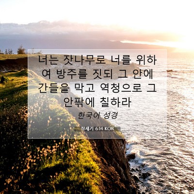 Picture 07 - 창세기 6:14 KOR - 너는 잣나무로 너를 위하여 방주를 - Bible Verse Picture