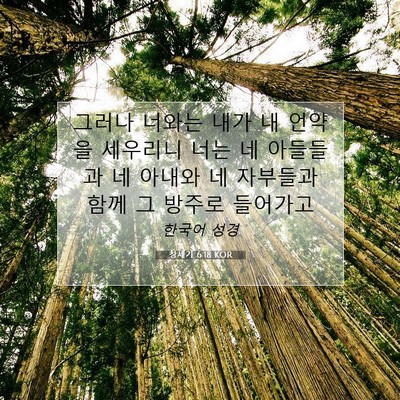 Picture 07 - 창세기 6:18 KOR - 그러나 너와는 내가 내 언약을 - Bible Verse Picture