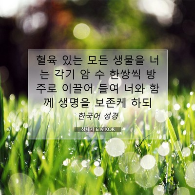 Picture 07 - 창세기 6:19 KOR - 혈육 있는 모든 생물을 너는 각기 암 - Bible Verse Picture