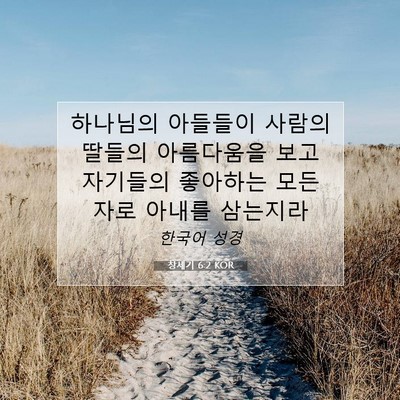 Picture 07 - 창세기 6:2 KOR - 하나님의 아들들이 사람의 딸들의 - Bible Verse Picture