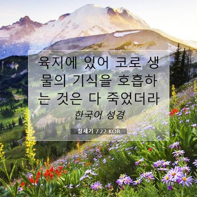 Picture 07 - 창세기 7:22 KOR - 육지에 있어 코로 생물의 기식을 - Bible Verse Picture