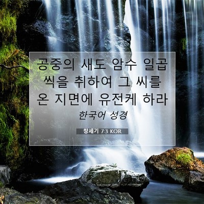 Picture 07 - 창세기 7:3 KOR - 공중의 새도 암수 일곱씩을 취하여 - Bible Verse Picture