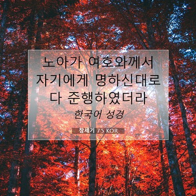Picture 07 - 창세기 7:5 KOR - 노아가 여호와께서 자기에게 - Bible Verse Picture