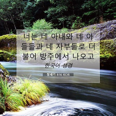 Picture 07 - 창세기 8:16 KOR - 너는 네 아내와 네 아들들과 네 - Bible Verse Picture