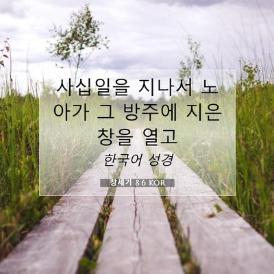 Picture 07 - 창세기 8:6 KOR - 사십일을 지나서 노아가 그 방주에 - Bible Verse Picture
