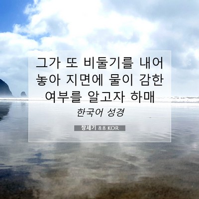 Picture 07 - 창세기 8:8 KOR - 그가 또 비둘기를 내어 놓아 지면에 - Bible Verse Picture