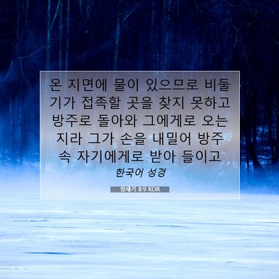 Picture 07 - 창세기 8:9 KOR - 온 지면에 물이 있으므로 비둘기가 - Bible Verse Picture
