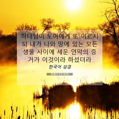 Picture 07 - 창세기 9:17 KOR - 하나님이 노아에게 또 이르시되 내가 - Bible Verse Picture