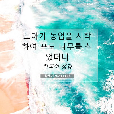 Picture 07 - 창세기 9:20 KOR - 노아가 농업을 시작하여 포도 나무를 - Bible Verse Picture