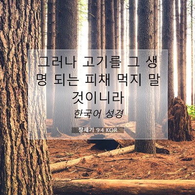 Picture 07 - 창세기 9:4 KOR - 그러나 고기를 그 생명 되는 피채 - Bible Verse Picture