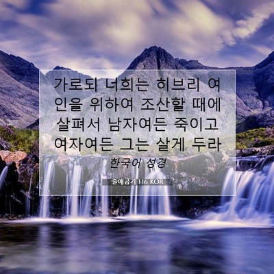 Picture 07 - 출애굽기 1:16 KOR - 가로되 너희는 히브리 여인을 위하여 - Bible Verse Picture